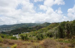 Cayey, Cayey, PR 00692