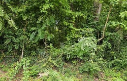 Green Spring Road, Abingdon, VA 24210