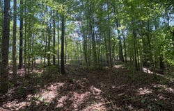 5291 CR-51, Greensboro, AL 36744