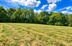 Tract 4 5.27 Ac County Rd 4008, Holts Summit, MO 65043