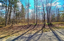 252 Sunridge Drive, Elmira, MI 49730