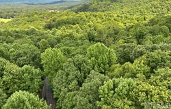 315 Kenmure Drive, Flat Rock, NC 28731
