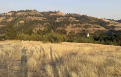 Mccall St, Juliaetta, ID 83535