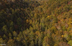 89 Acres Lynn Flanary Road, Blackwater, VA 24221