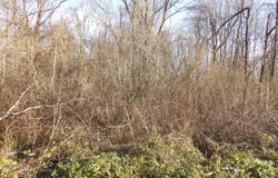 312 Blakely Lane, Middlesboro, KY 40965