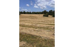 186 CR 346, Piggott, AR 72454