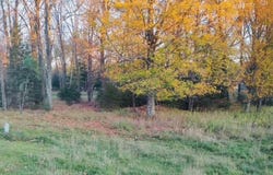 N River Road, Park Falls-WI, WI 54552