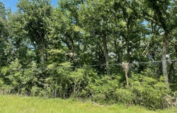 County Road 750, Thornton, TX 76687