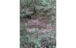 4430 Ben Lane, Walkertown, NC 27051