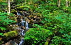 McKendree, Thayer, WV 25864