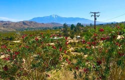 8787 Via La Scala, Morongo Valley, CA 92256