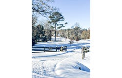 470 COUNTY ROAD 87, Headland, AL 36345