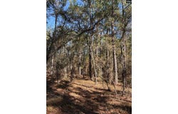 0 E Old Camden Hwy, Darlington, SC 29550