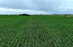 160th Street, IA 50859