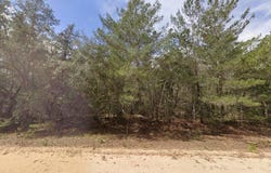 BRETT Avenue, Interlachen, FL 32148