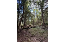 30 Bentley Lane, Jericho, VT 05465