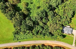 Holston River Drive lot: 1, Rutledge, TN 37861