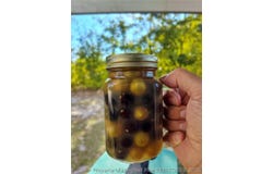 1308 Mac D Road, Orrum, NC 28369
