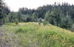 Highway 11, Pierce, ID 83546