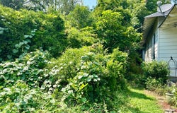 Hampton St, Elloree, SC 29047
