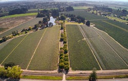 13750 SE LOCKS LOOP Rd, Dayton, OR 97114
