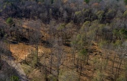 PAUL BOLTON Rd, Parrish, AL 35580