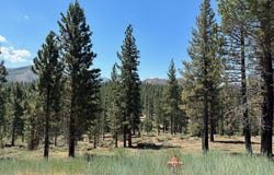 Raymond View lot: 2, Markleeville, CA 96120