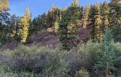1 Armin Rd, Joseph, OR 97846