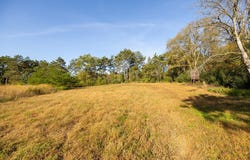 State Highway 25, Durand, WI 54736