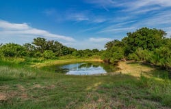28 CR 458, Brady, TX 76825