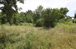Harris Road, Haworth, OK 74740