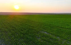 State Highway 40, Weskan, KS 67762