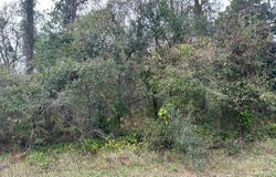 2643 Oak Beach Boulevard, Sebring, FL 33875