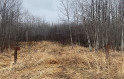 ON Shauger Road, Ogema, WI 54459