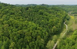 626 Caney Fork rd, Booneville, KY 41314