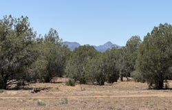 5527 N Randall Boulevard, Williams, AZ 86046