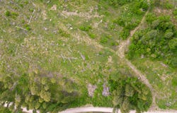 E Sanpoil Rd, Republic, WA 99166