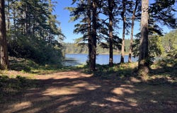 Laurel Rd, Bandon, OR 97411