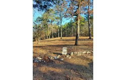 133 Estelle Lane, Mena, AR 71953