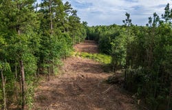 1300 Laurel Hill Rd, Henderson, TN 38340