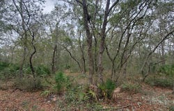 127 GLENDALE Avenue, Interlachen, FL 32148