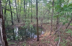 E Barton Ave., Cove, AR 71937