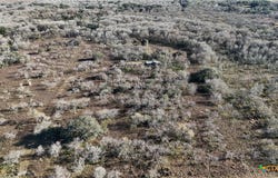 Cr 205, Gonzales, TX 78629