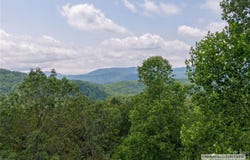 120 Ivywood Lane, Laurel Park, NC 28739
