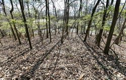 740 Forest Avenue, Valley Park, MO 63088