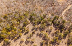 Rimstone Lane, Gainesville, MO 65655