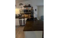 760 White Chapel Rd, Winter Garden, FL 34787