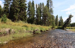 L49 Secesh River Road, McCall, ID 83638
