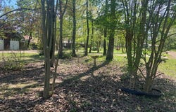 700 Oak Ridge Lane, Hemphill, TX 75948