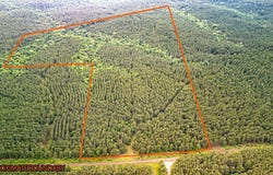 PID #28393 Private Rd 8020, San Augustine, TX 75975